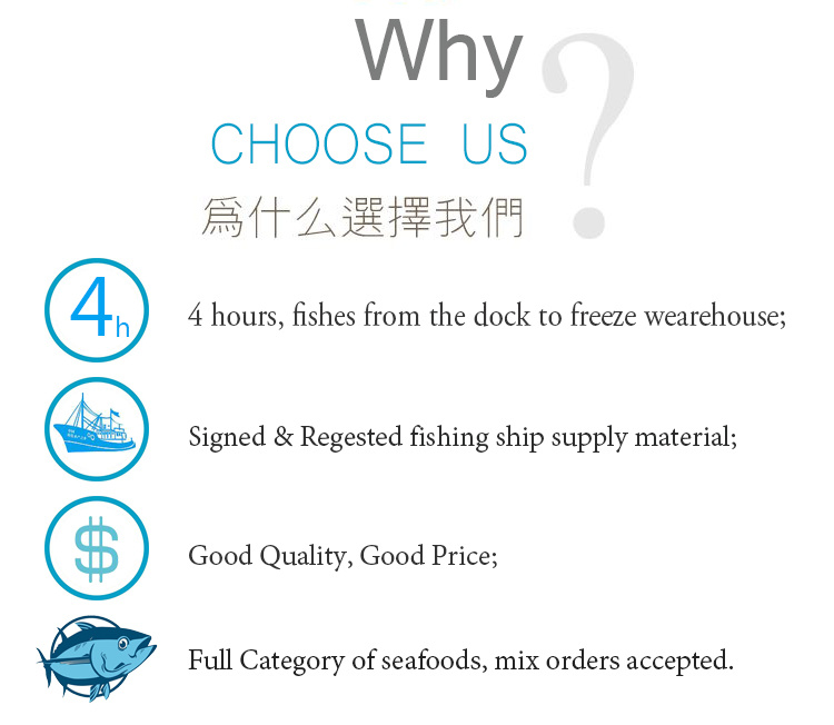 Horse Mackerel Fish Products Cheap Price Frozen Round Scad Fish