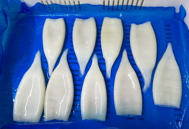 IQF Frozen Squid Tube U3, U5, U7