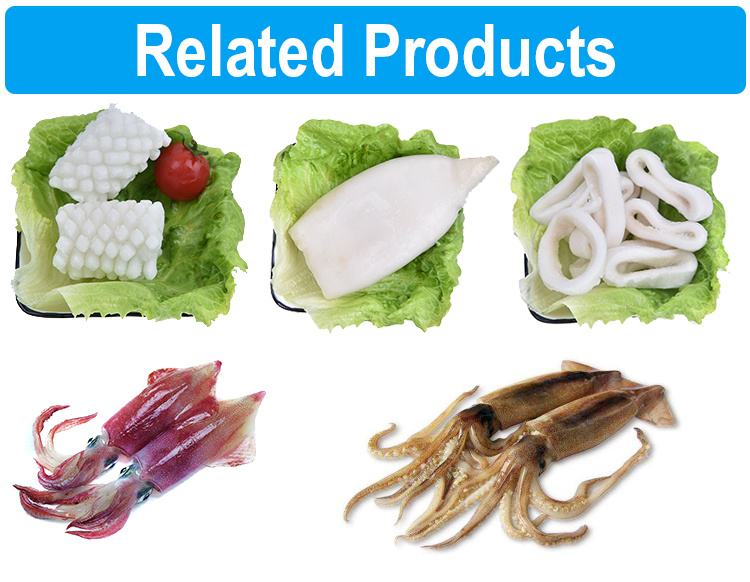 IQF Frozen Squid Tube U3, U5, U7