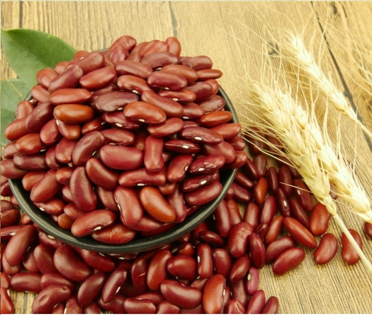 Top Quality Grade a Bulk Dried Red Kidney Beans for Sale,China price