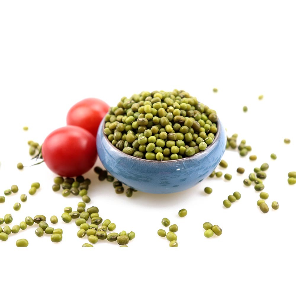 Chinese Organic Spouted Green Mung Beans Hot Sale