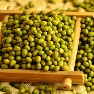 Chinese Organic Spouted Green Mung Beans Hot Sale
