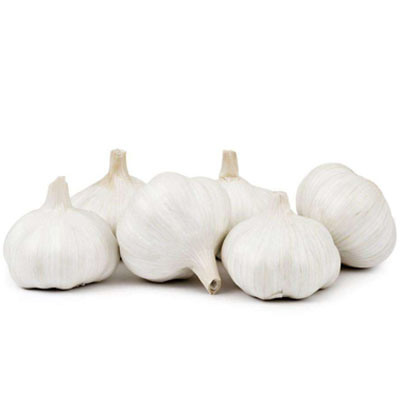 New Crop Garlic Chinese Fresh Garlic White Garlic Price