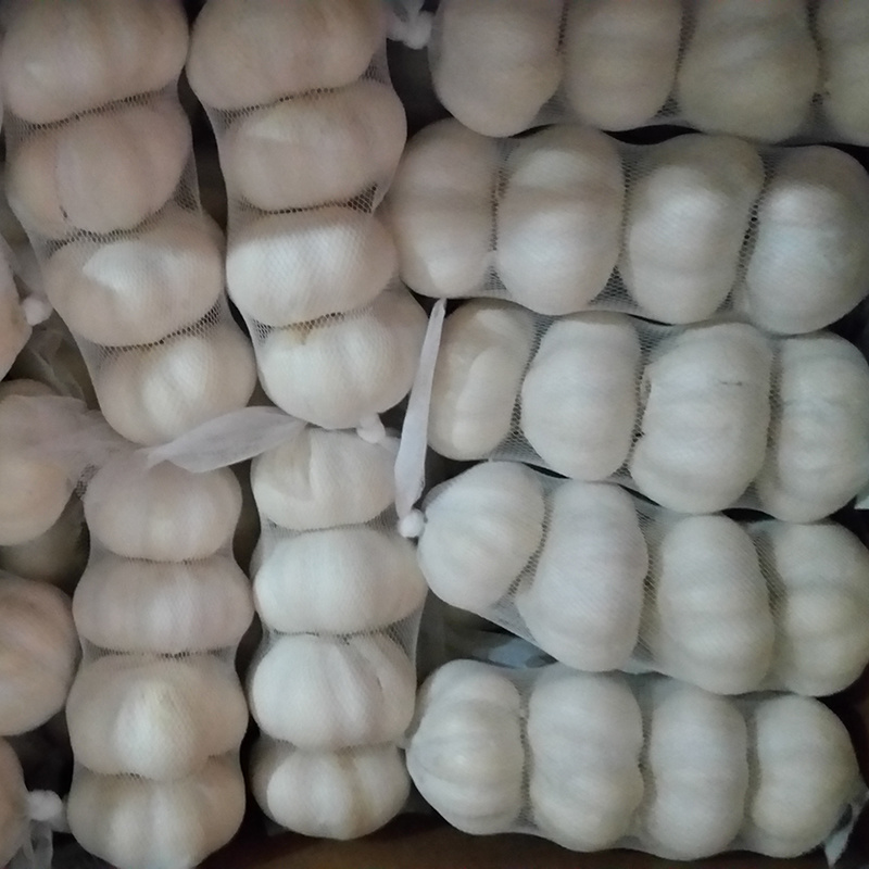 2018 China/Chinese Wholesale Garlic Price - New Crop, Hot Sales