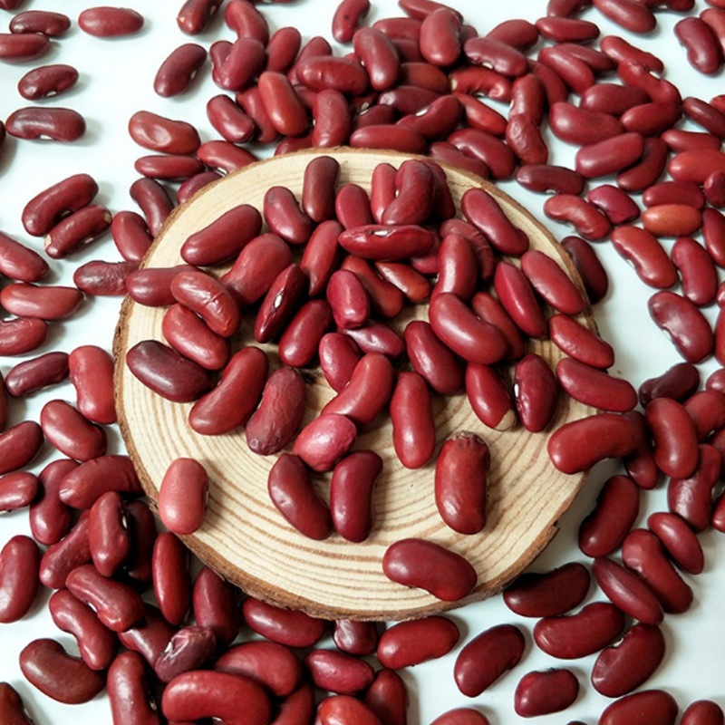 Red Kidney Beans, Light Speckled Kidney Bean, Dark Red Kidney Beans