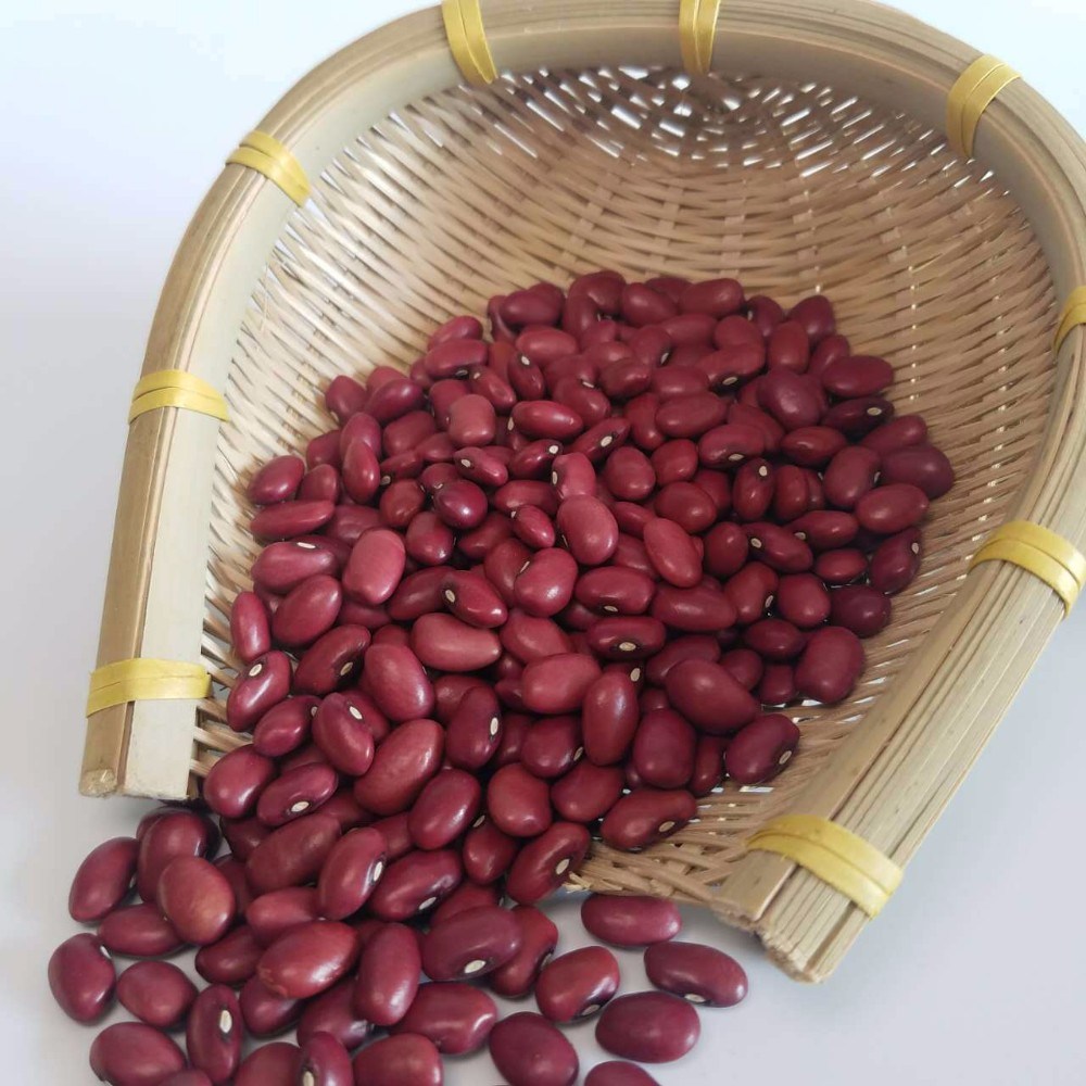 Red Kidney Beans, Light Speckled Kidney Bean, Dark Red Kidney Beans