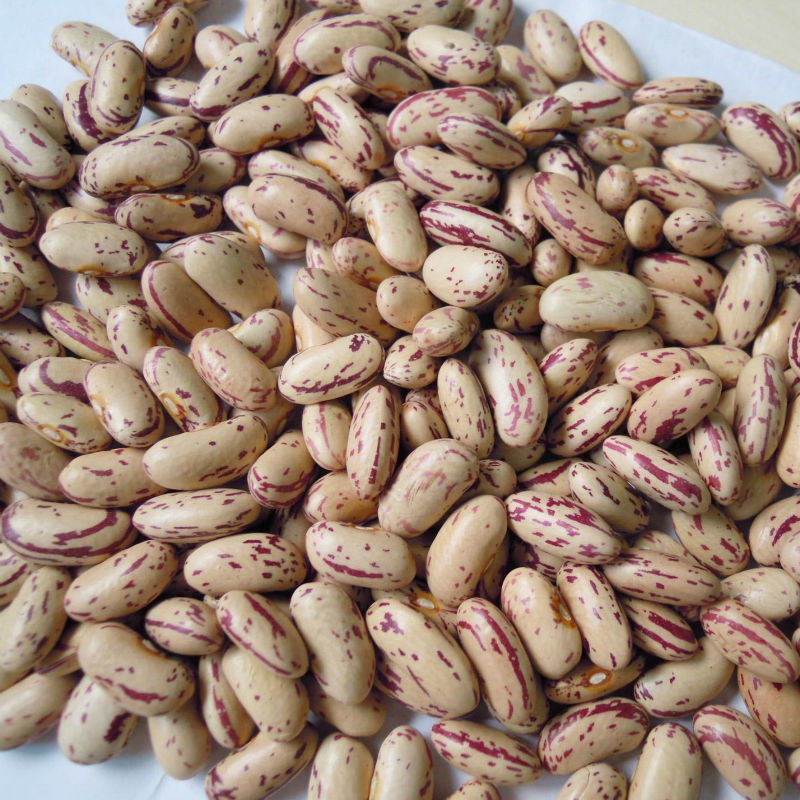 Red Kidney Beans, Light Speckled Kidney Bean, Dark Red Kidney Beans