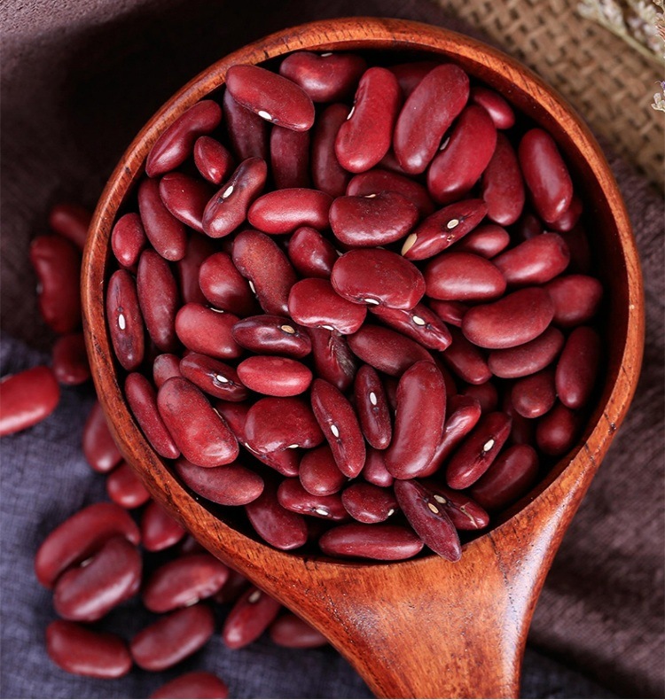Red Kidney Beans, Light Speckled Kidney Bean, Dark Red Kidney Beans