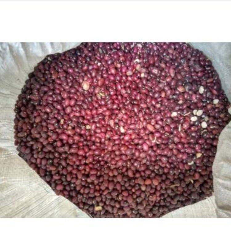 High Quality Red Kidney Beans