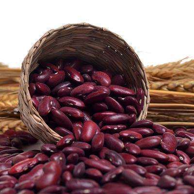 High Quality Red Kidney Beans
