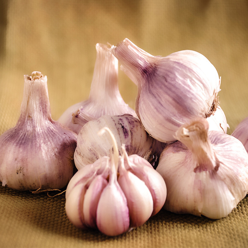 Normal White Garlic Pink Garlic Purple Garlic