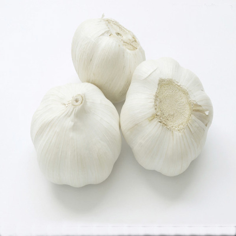 Normal White Garlic Pink Garlic Purple Garlic