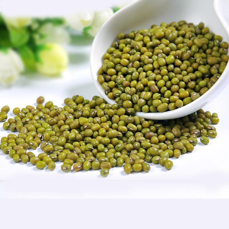 Green Mung Bean Moong Dal Sprout Mung Beans Use for Sale