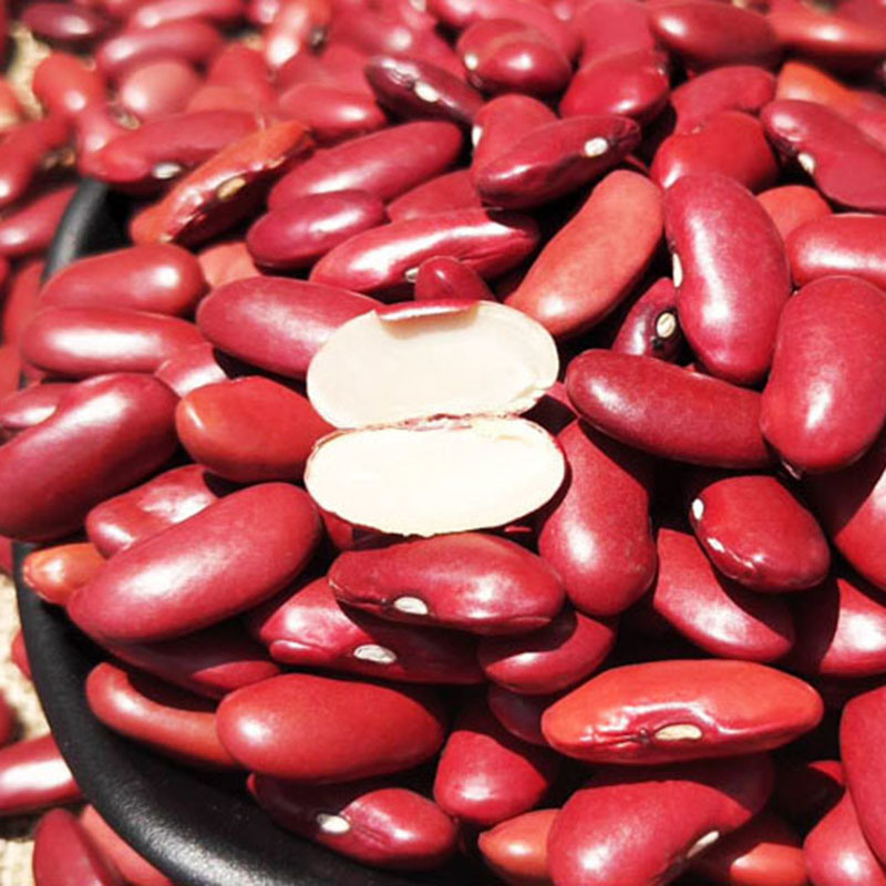 Red Kidney Beans, Light Speckled Kidney Bean, Frozen Beans,China price ...