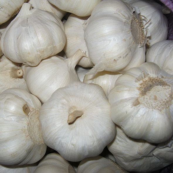 2018 High Quality Bulk Garlic with Natural Garlic