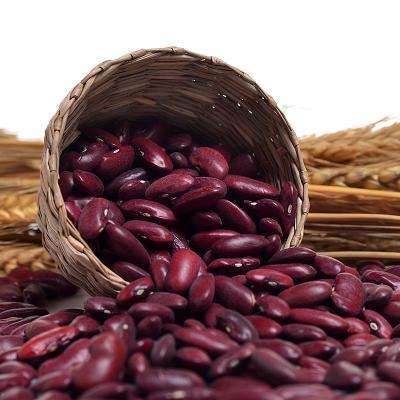 New Crop Red Kidney Beans Whole Price.