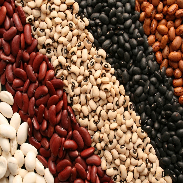 Kidney Beans, Light Speckled Kidney Beans Red Beans