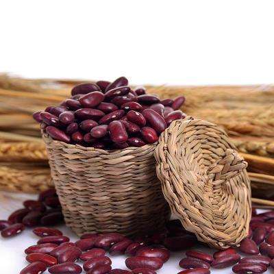 High Quality Canned Red Kidney Beans for Sale
