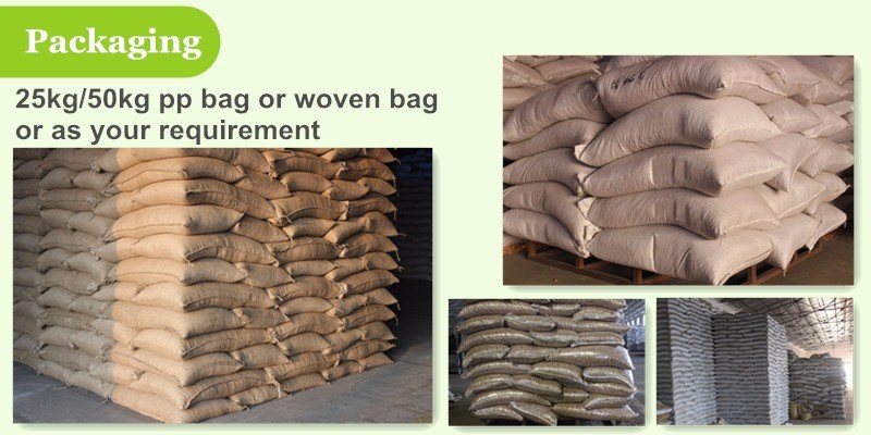 Vigna Type Dried Red Kidney Beans Price