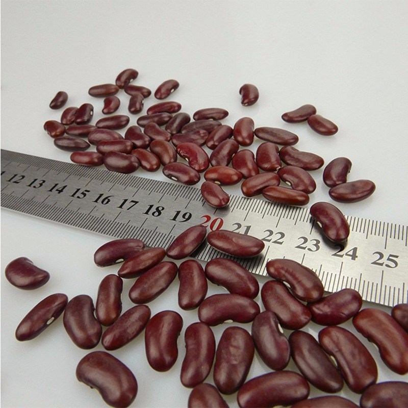 Vigna Type Dried Red Kidney Beans Price
