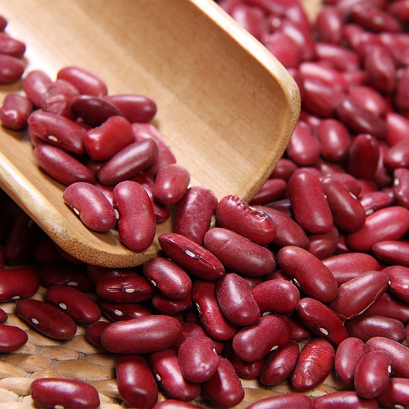 Vigna Type Dried Red Kidney Beans Price