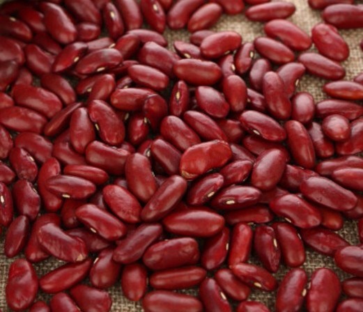 Vigna Type Dried Red Kidney Beans Price