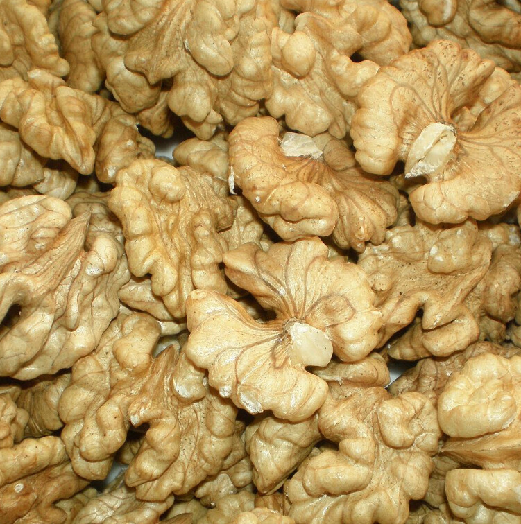 100% Healthy and Best Walnuts in Shell or Walnut Kernels International Superior Grade.