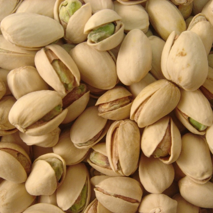 Top Shelf Pistachio Nuts with Shell -High Quality Raw Pistachios in Bulk for Sale
