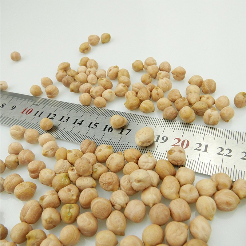 Grade a Desi Chickpeas and Kabuli Chickpeas for Sale
