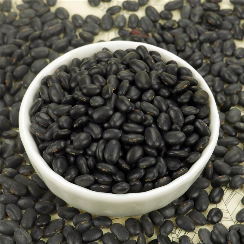 Factory Direct Supply Fresh Big Size Black Kidney Beans