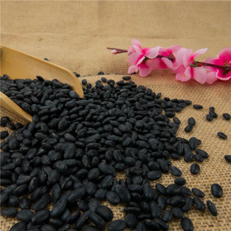 Factory Direct Supply Fresh Big Size Black Kidney Beans