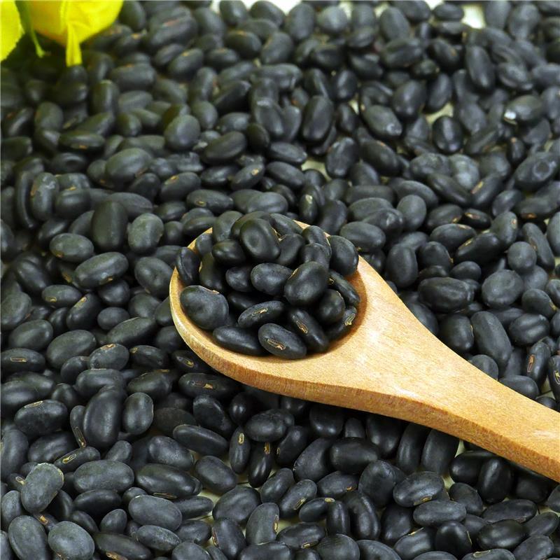 Factory Direct Supply Fresh Big Size Black Kidney Beans