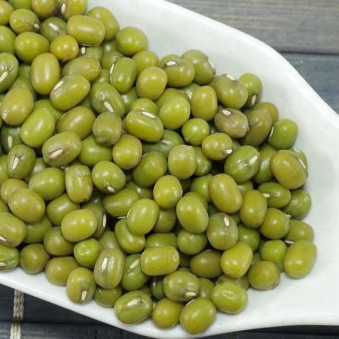 Factory Fresh Organic Bulk Green Mung Bean