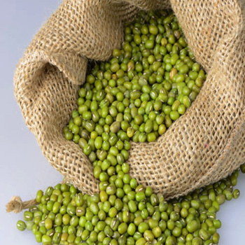 Pure Natural High Quality Green Mung Beans