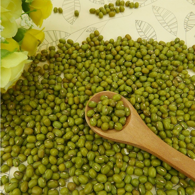 Green Mung Beans - Farm Grade for Sale
