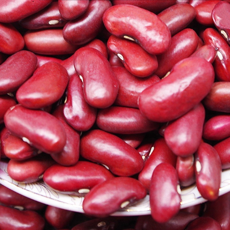 Long Shape Dark Red Kidney Beans