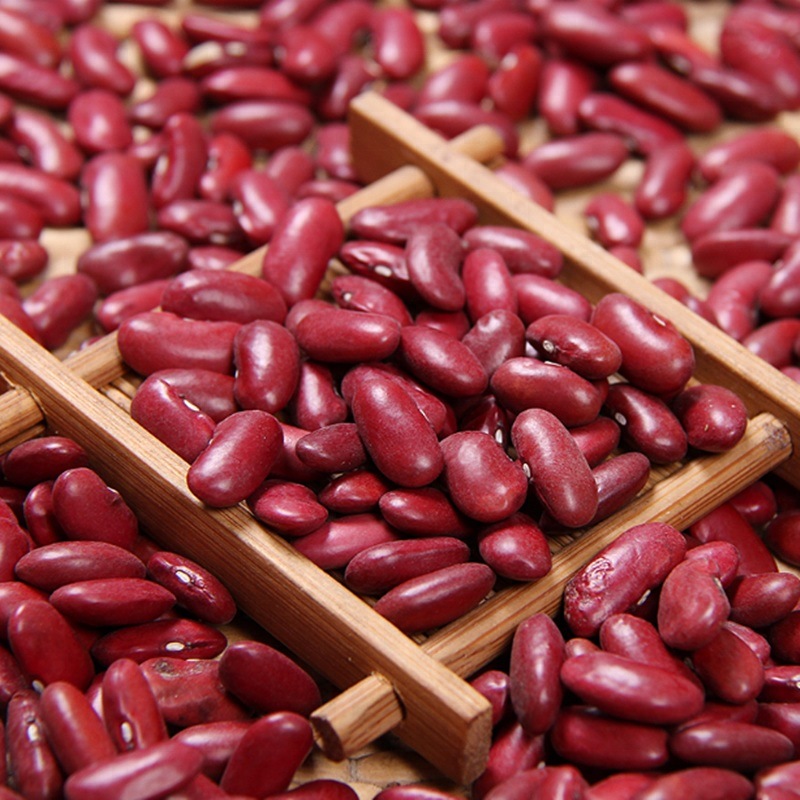 Long Shape Dark Red Kidney Beans
