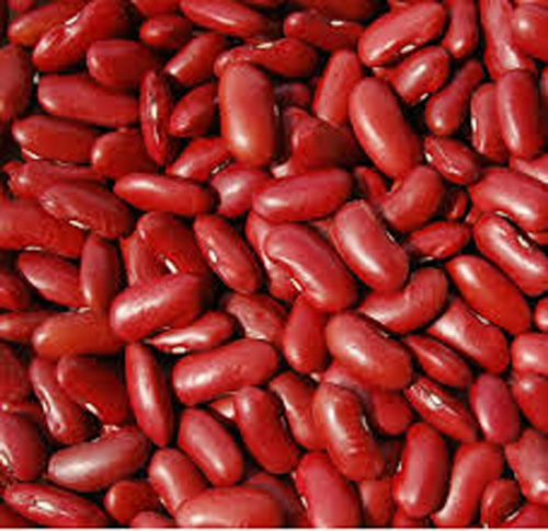 Long Shape Dark Red Kidney Beans