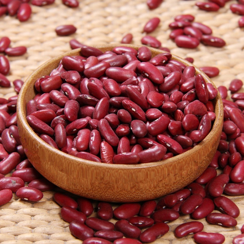 Long Shape Dark Red Kidney Beans