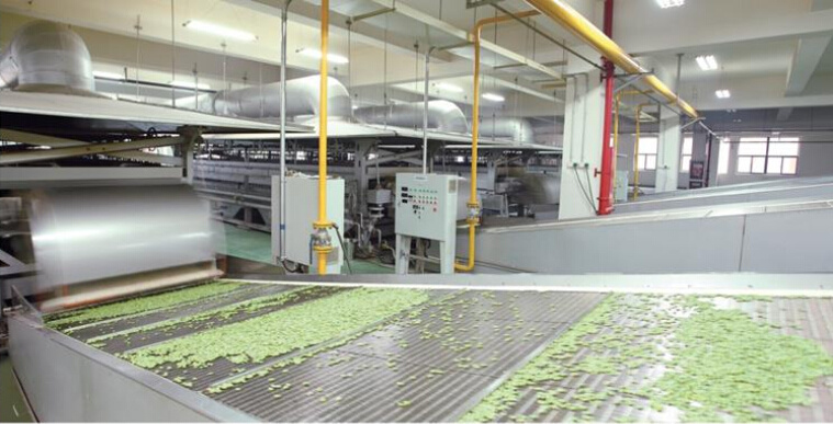 High Nutrition Healthy Snacks Broad Bean/Fava Beans Chips Hot Sale in Retail Packing