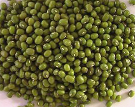 Hot Sale Competitive Mung Bean