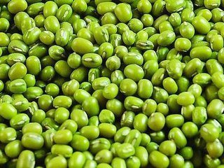 Hot Sale Competitive Mung Bean