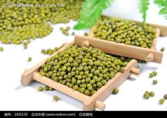 Hot Sale Competitive Mung Bean