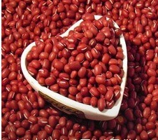 Professional Export Round Purple Kidney Beans