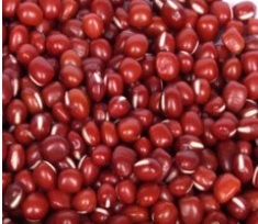 New Crop/Fresh Red Bean (25kg/PP bag)