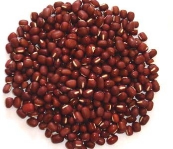 New Crop/Fresh Red Bean (25kg/PP bag)
