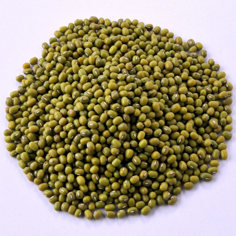 2018 New Crop Common Cultivation Sprouting Green Mung Beans