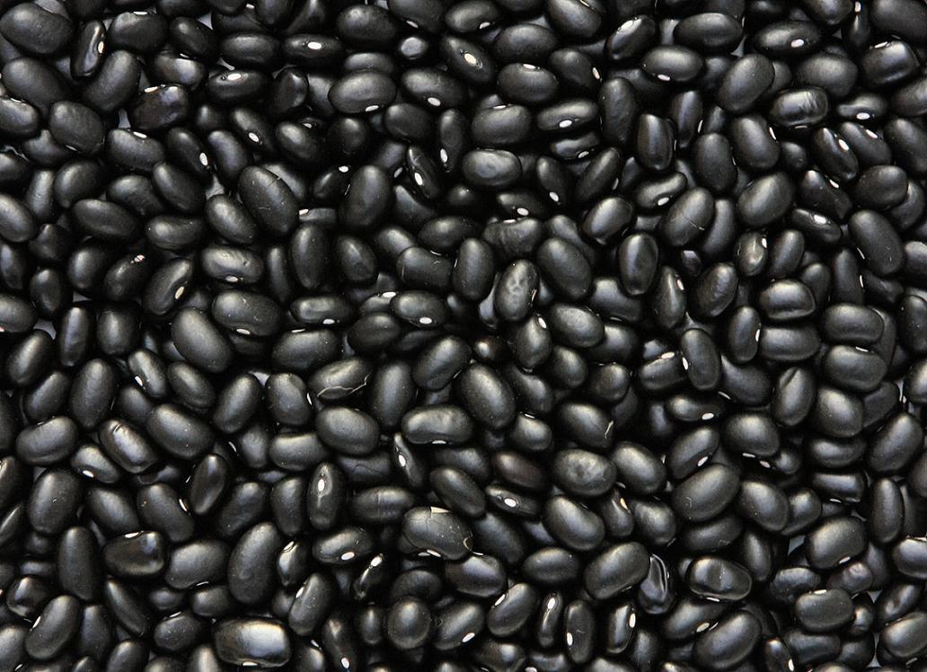 Export Good Quality Fresh Chinese Black Kidney Bean