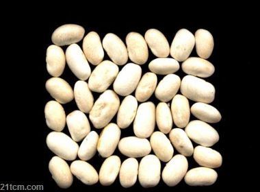 Export Top Quality White Kidney Bean