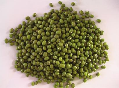 New Crop High Quality Mung Bean